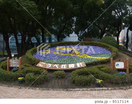 花時計 花時計 9517114
