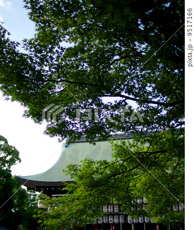 新緑 - 八坂神社 9517166