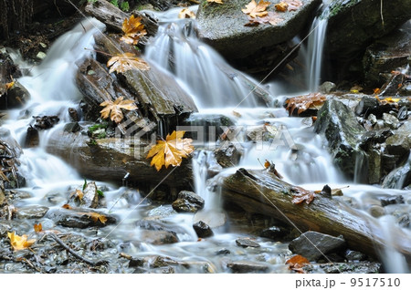 Beautiful Waterfall in Harrison BC Canada 9517510