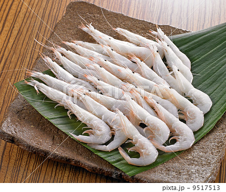 白えび 白えび 9517513