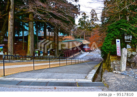 「根本中堂」へ降りる石段（比叡山延暦寺･東塔地区／滋賀県大津市坂本本町） 9517810
