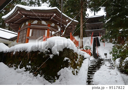 雪化粧した大岩山日石寺の大日堂と三重塔 9517822
