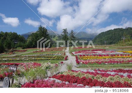 御嶽山（花畑） 9518066