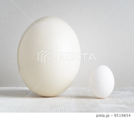 Ostrich egg and chicken egg on white table Ostrich egg and chicken egg on white table 9519854