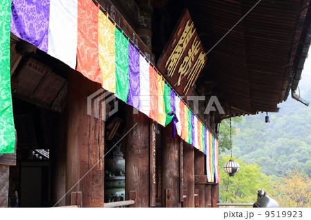 長谷寺 長谷寺 9519923