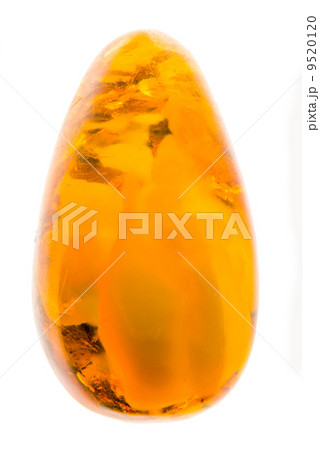Amber 9520120