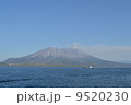 桜島 9520230