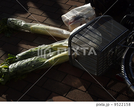 強風の仕業 9522158