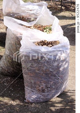 落ち葉や剪定枝を堆肥化 落ち葉や剪定枝を堆肥化 9522476