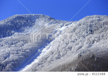志賀高原の樹氷 9522488