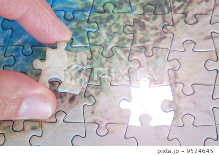 The last missing piece puzzle. The last missing piece puzzle. 9524645