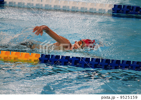 クロール 9525159