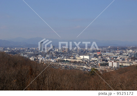 都立長沼公園の１月　八王子市　 9525172