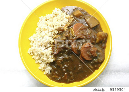具沢山の玄米カレーライス 9529504