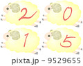 未2015 9529655