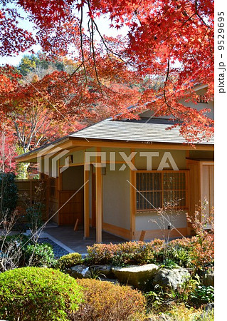 秋の東山植物園 9529695