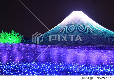 なばなの里 9529717