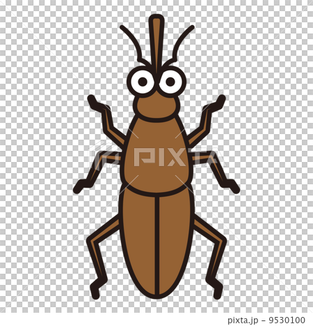 Rhinorrhea Rhinorrhea 9530100