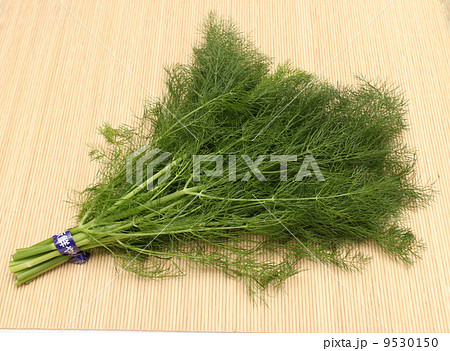 イーチョーバー 9530150