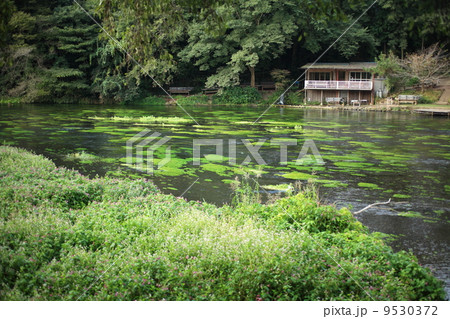 柿田川湧水群 9530372