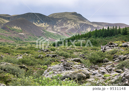 Iceland Nature in Summer Iceland Nature in Summer 9531148