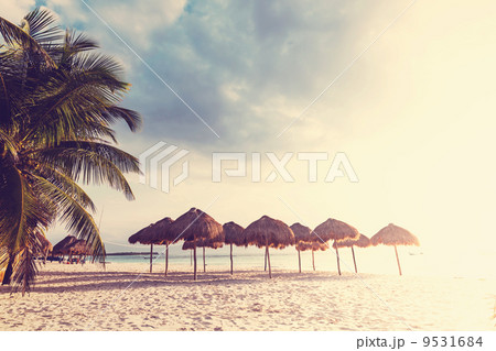 Tropical beach in Mexico Tropical beach in Mexico 9531684