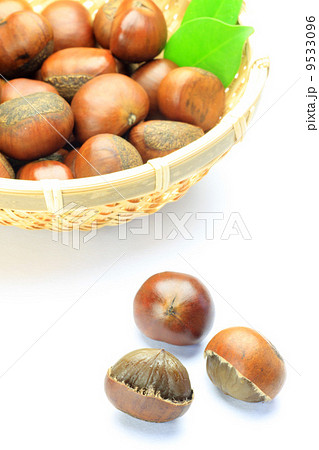 天津甘栗 9533096