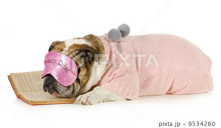 falling asleep reading falling asleep reading 9534260