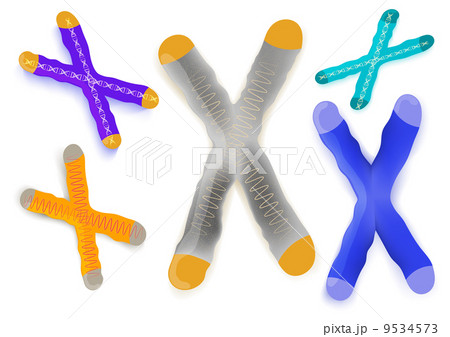 chromosome on a white background 9534573