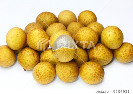 リュウガン 9534931