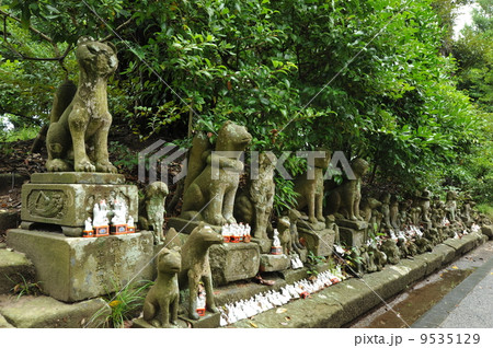 松江 城山稲荷神社の狐の写真素材