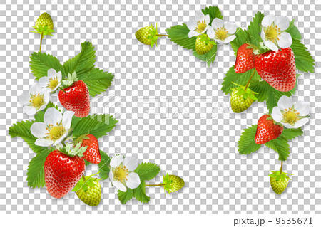 いちごのイメージ枠 9535671
