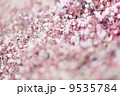 ピンクの絨毯 9535784