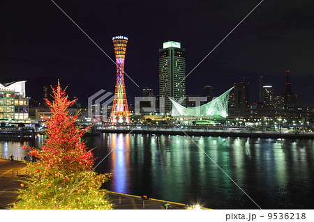 クリスマスツリーとメリケンパークの夜景 クリスマスツリーとメリケンパークの夜景 9536218