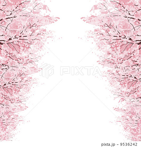 桜 並木のイラスト素材
