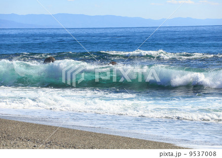 桂浜の波打ち際 9537008