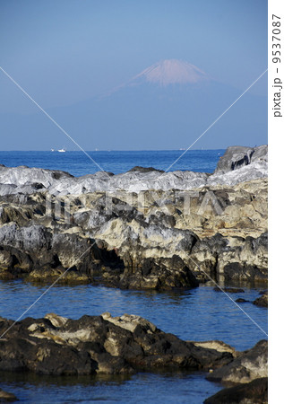 荒崎海岸(横須賀市) 荒崎海岸(横須賀市) 9537087
