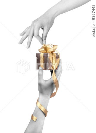 taking a gift concept isolated taking a gift concept isolated 9537442