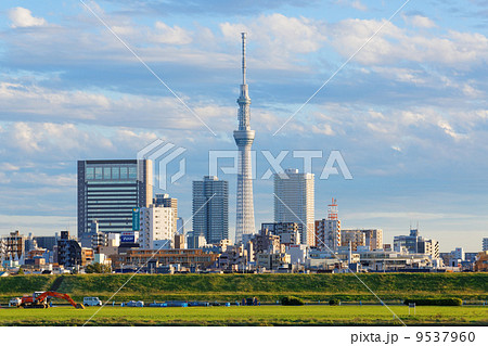 青空が広がる川の手住宅街と東京スカイツリー 9537960