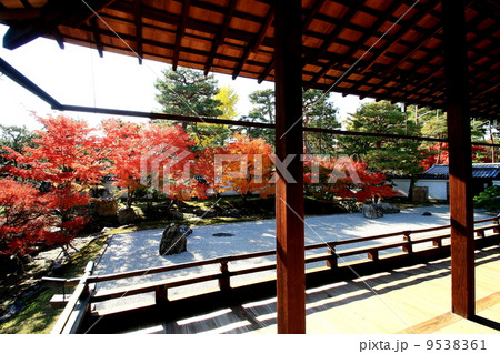 相国寺 開山堂庭園 相国寺 開山堂庭園 9538361