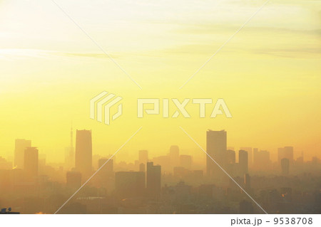 1月都市の風景・街並み354朝もやの高層ビル群 9538708