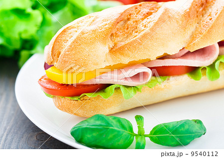 Baguette sandwich 9540112