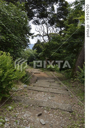 下田公園のあじさい祭 9540760