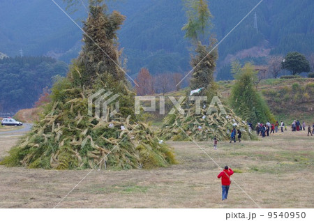 熊本県美里町 みどりかわ湖どんど祭り 点火前のどんどや竹矢倉と観光客 熊本県美里町 みどりかわ湖どんど祭り 点火前のどんどや竹矢倉と観光客 9540950