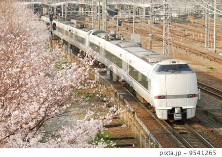 桜並木を渡るサンダーバード 9541265