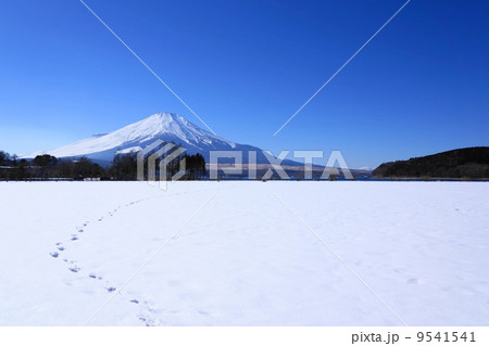 1月風景・富士山211山中湖村 1月風景・富士山211山中湖村 9541541