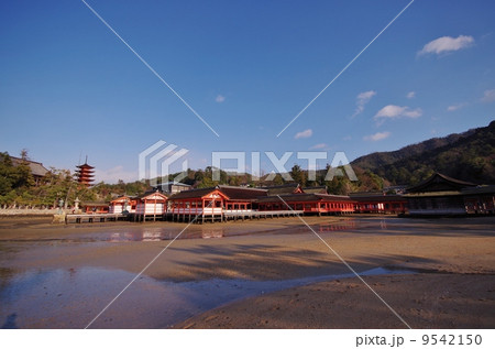 宮島厳島神社 9542150