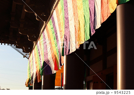 西新井大師 9543225