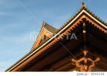 西新井大師 9543226