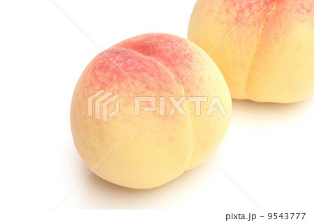 白桃 白桃 9543777